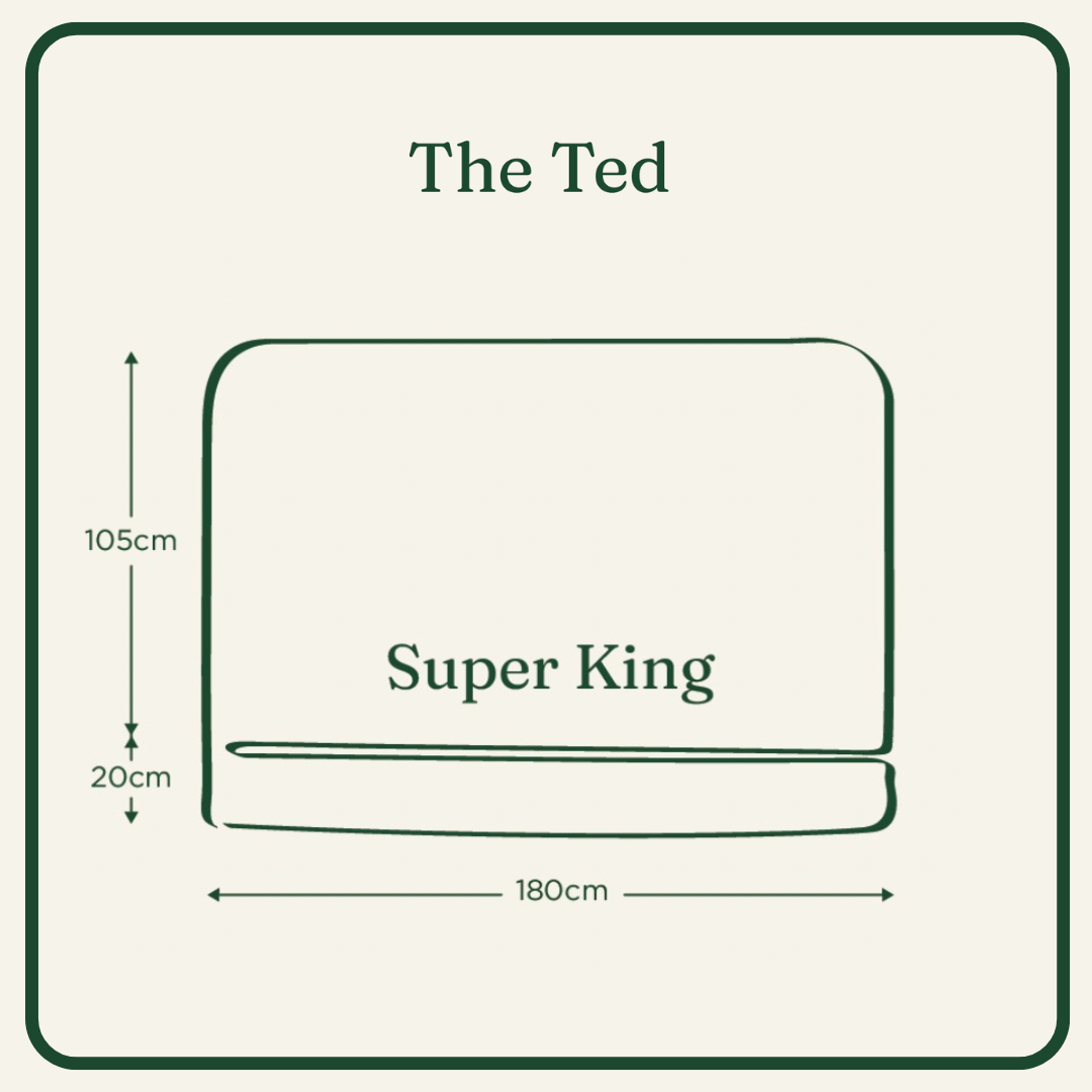 The Ted Super King