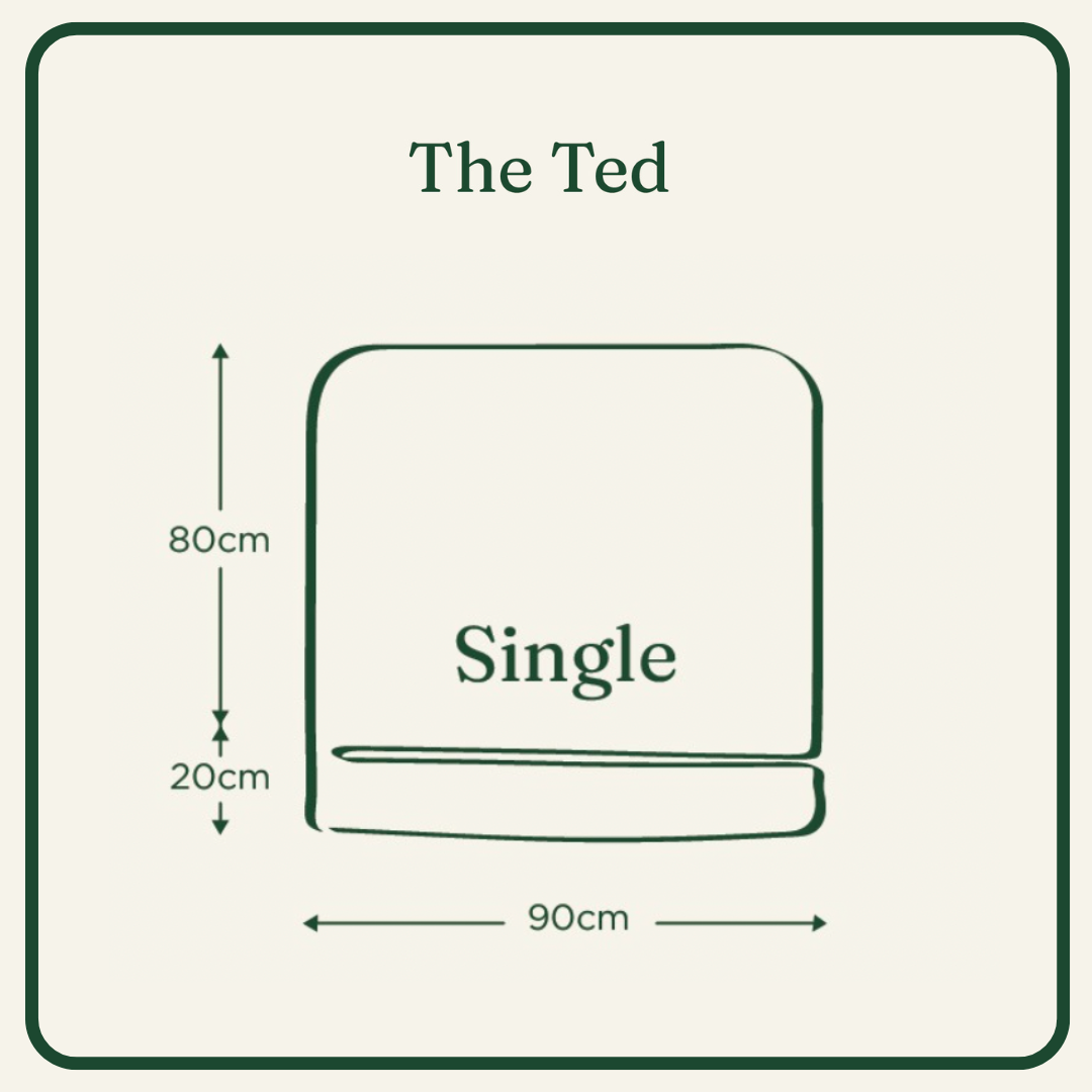 The Ted Single