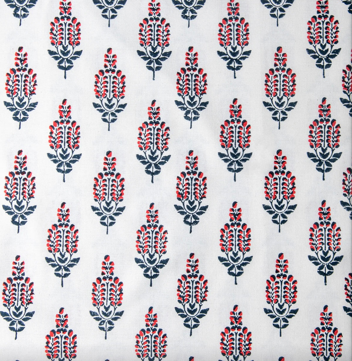 The Pipkin Super King